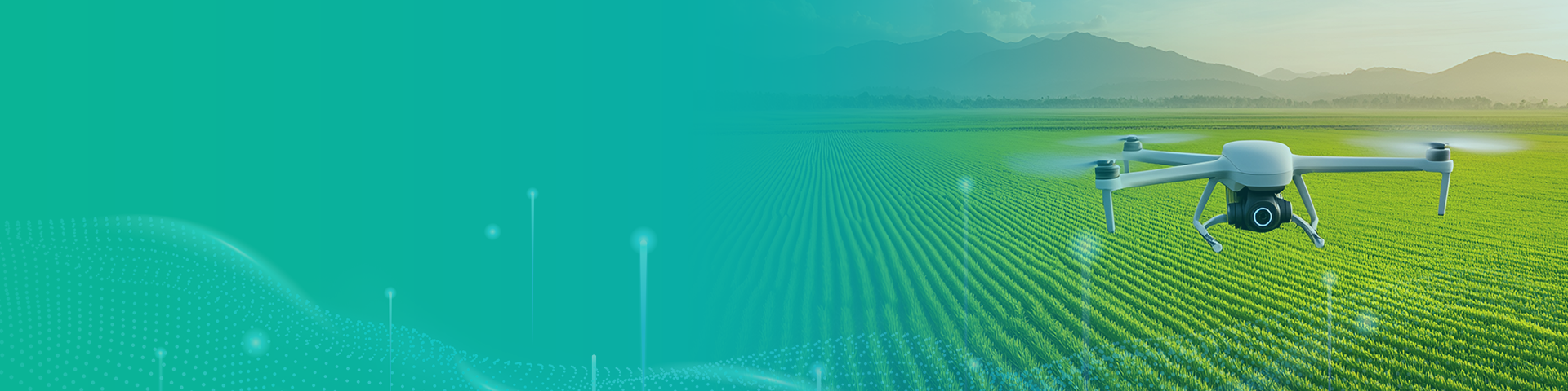 ���ܵ���